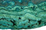 Teal Botryoidal Chrysocolla and Malachite - Chile #310121-1